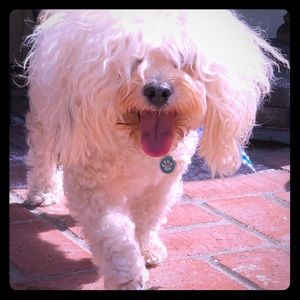 Meet your Posher, Richard